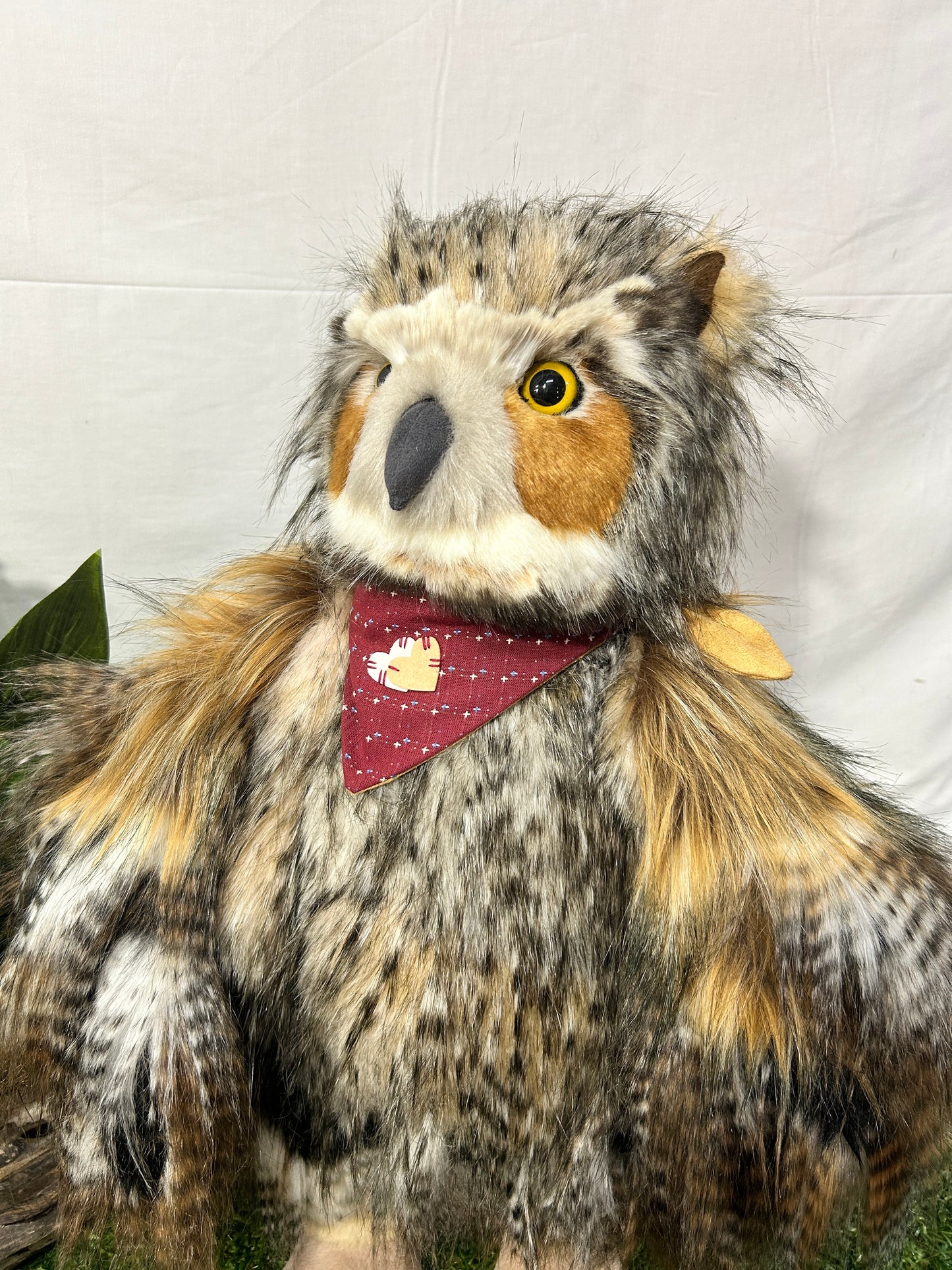 CHARLIE BEAR SCREECH