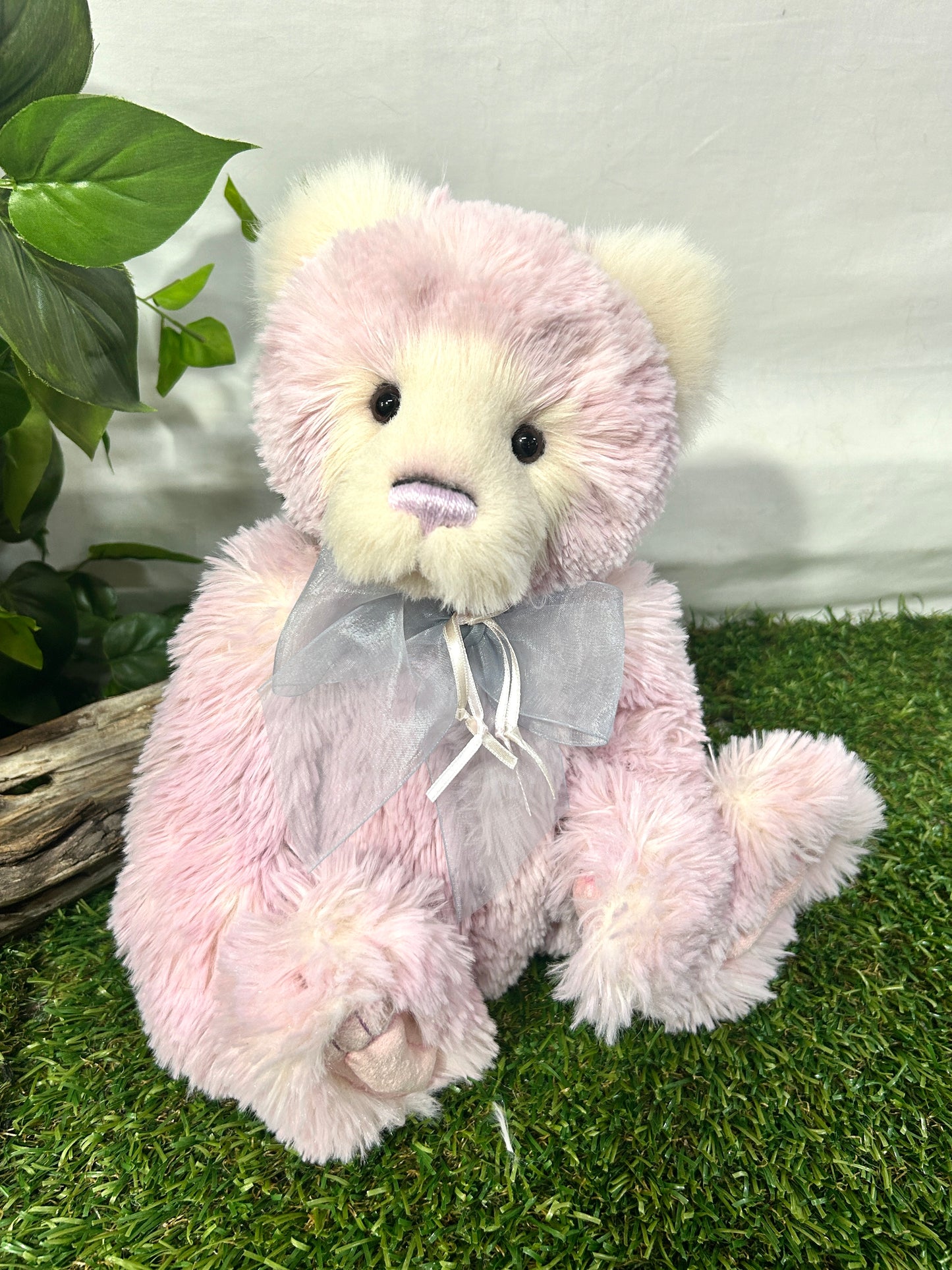 2026 CHARLIE BEAR MAISIE-BELLE