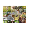 PUZZLE 200PC CUTE ANIMAL BABIES