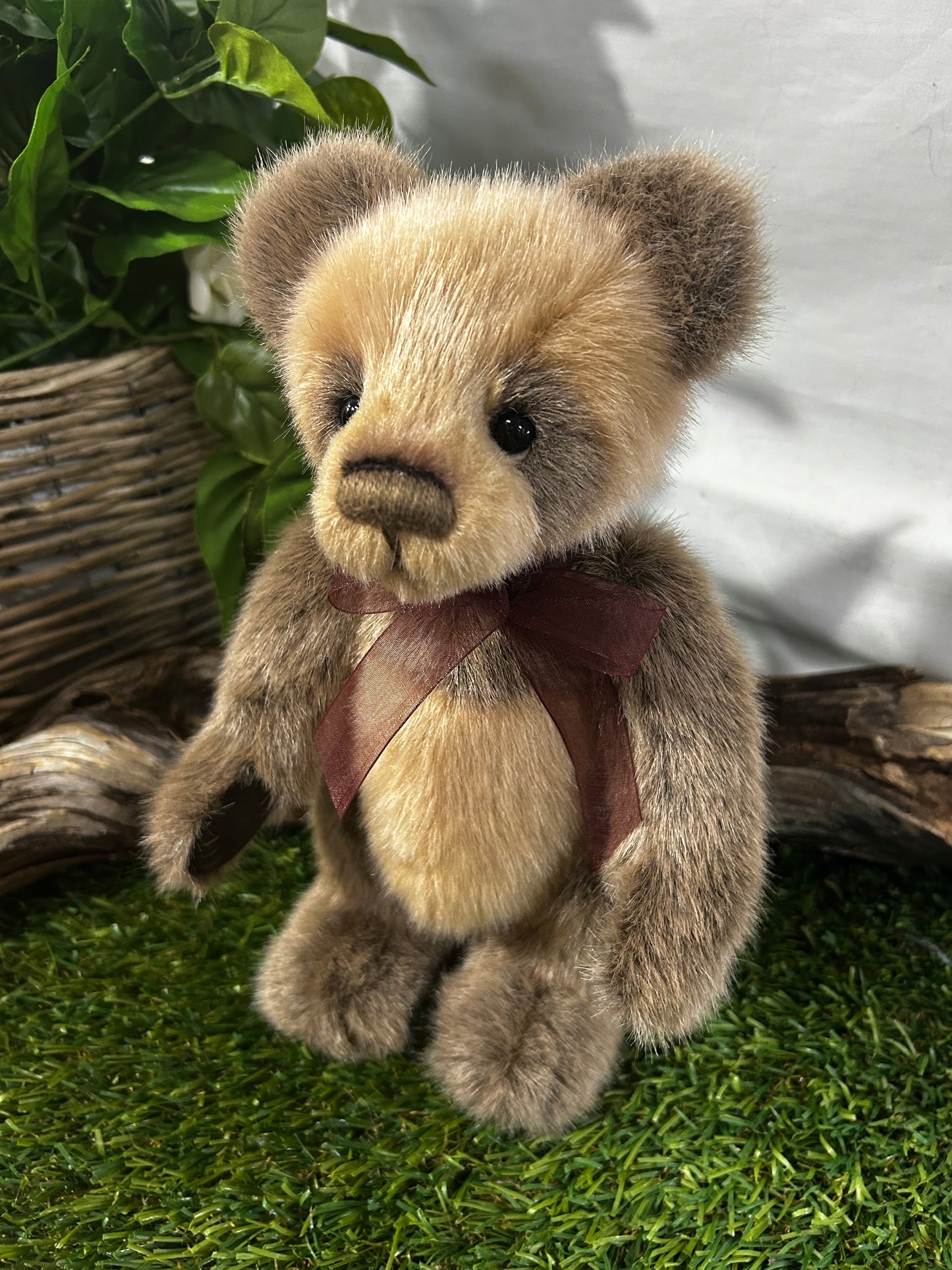 CHARLIE BEARS EXCL SORE PAWS