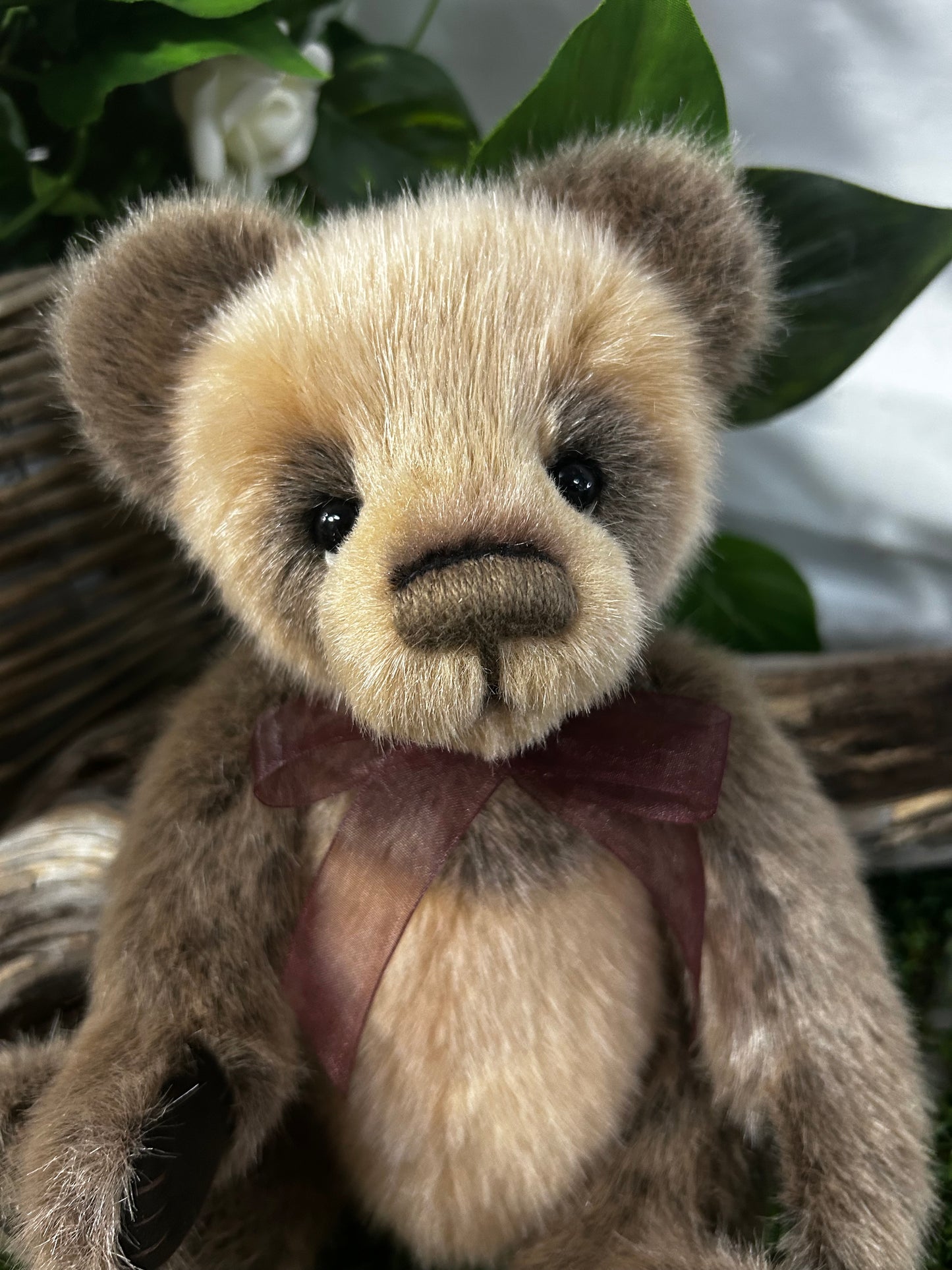 CHARLIE BEARS EXCL SORE PAWS