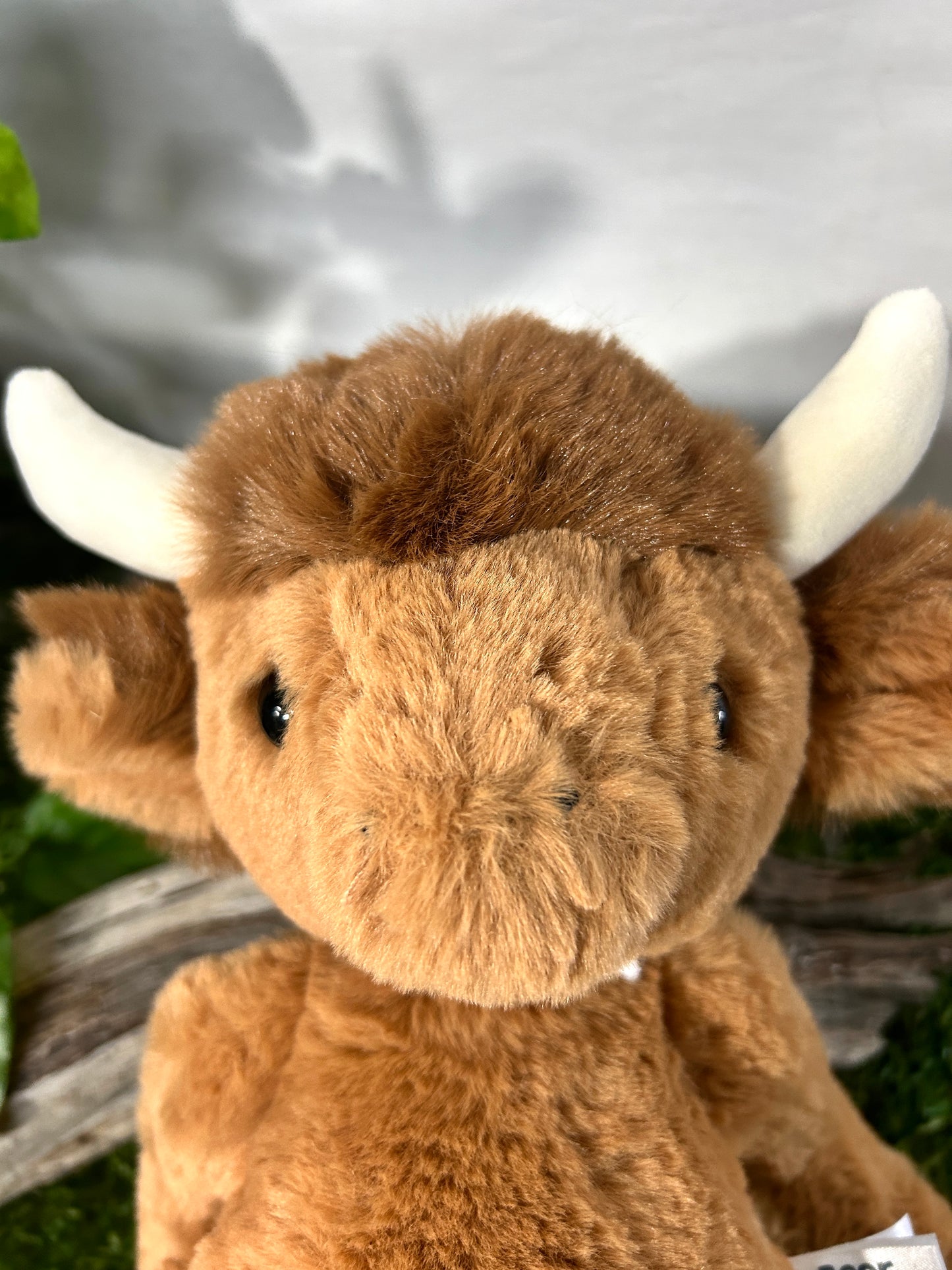 CB BEAR & ME HENRY HIGHLAND COW MED