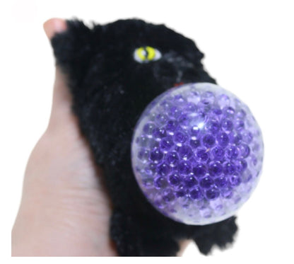 SQUEEGIES WATER BEAD PLUSH BLACK CAT