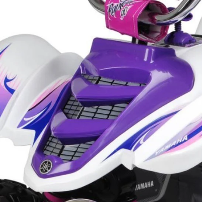 RIDE ON 12 VOLT RAPTER 90 PURPLE