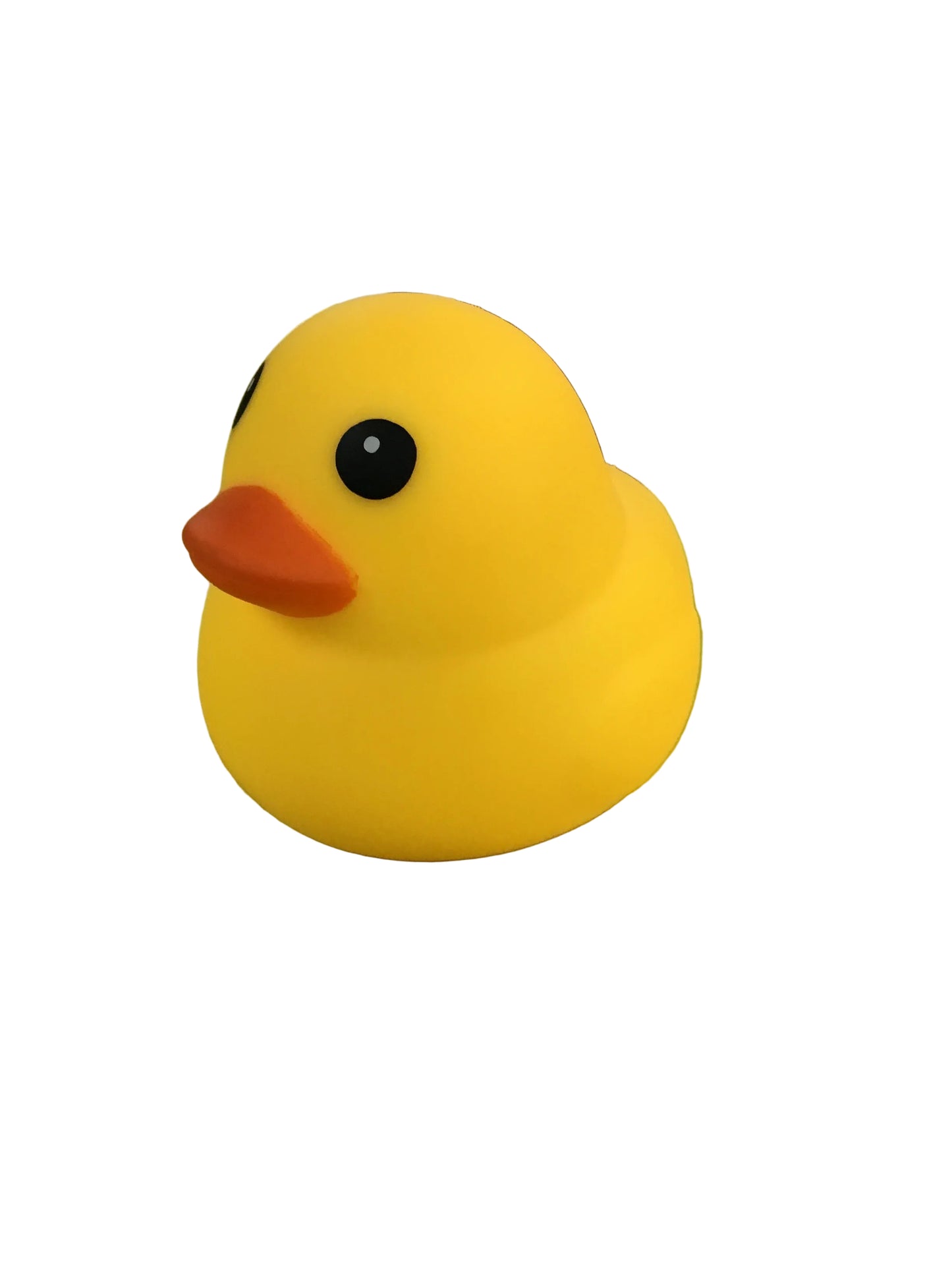 SQUISHY DUCKS XLARGE