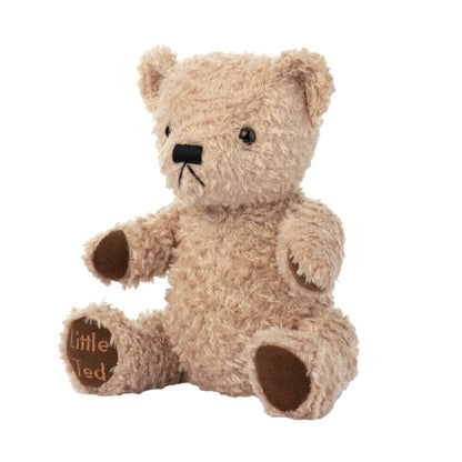 PLAY SCHOOL PLUSH LITTLE TED 19CM