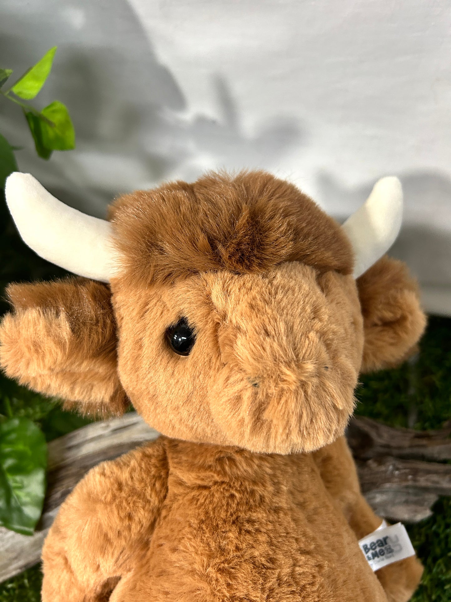 CB BEAR & ME HENRY HIGHLAND COW MED