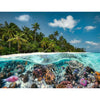 PUZZLE 2000PC UNDERWATER/OVERWATER