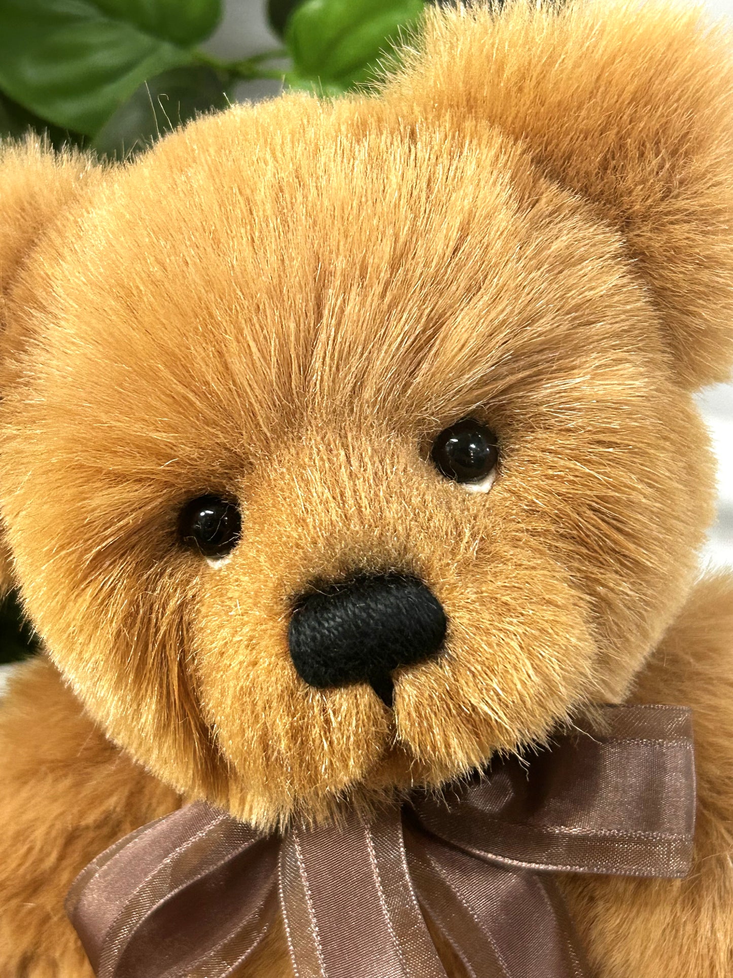 2025 CHARLIE BEARS EXCL ROBINSON