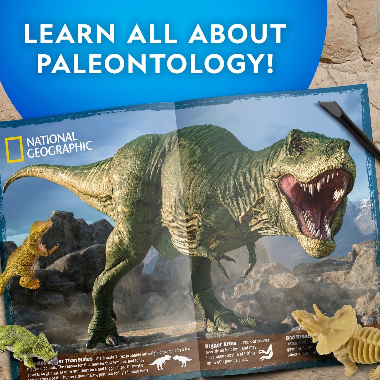 NG ULTIMATE DINOSAUR DIG KIT