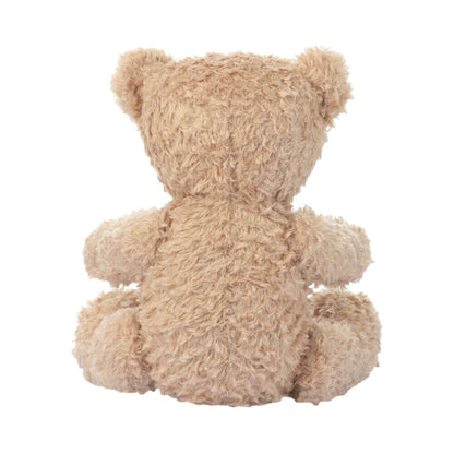 PLAY SCHOOL PLUSH LITTLE TED 19CM