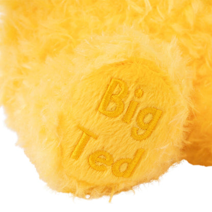 PLAY SCHOOL PLUSH BIG TED 23CM