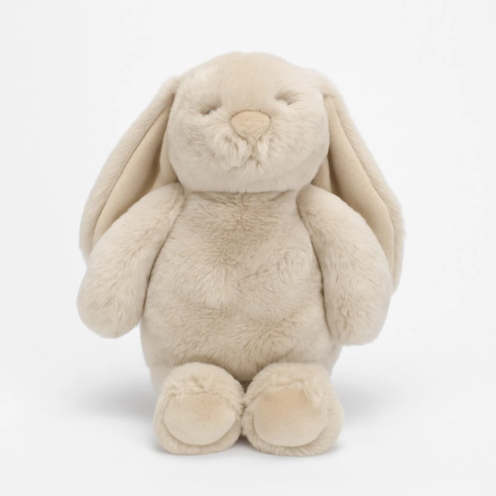 LILY & GEORGE FLOPSY BUNNY BISCUIT