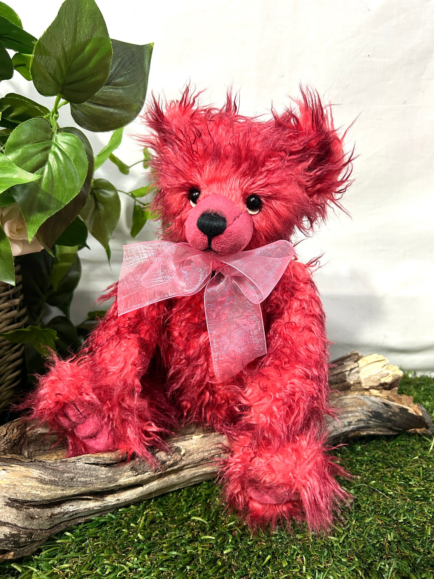 2026 CHARLIE BEAR TODDLE