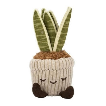 PLUSH RBGH GREENHOUSE RUSS MINI PLANTS