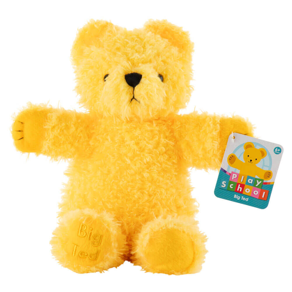 PLAY SCHOOL PLUSH BIG TED 23CM