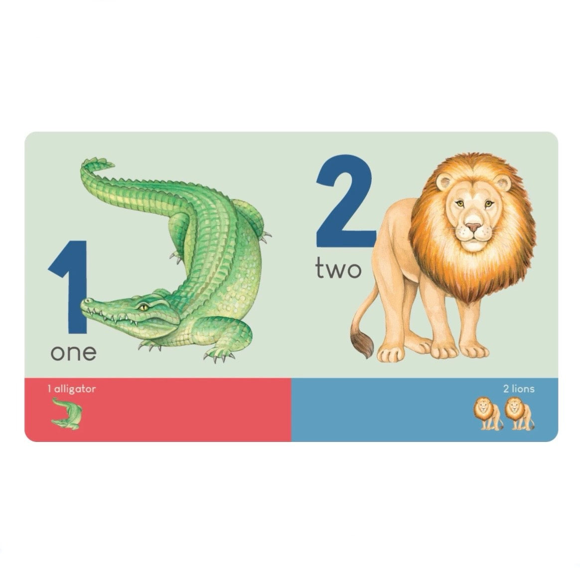 BOOK CARRY ME ANIMAL NUMBERS