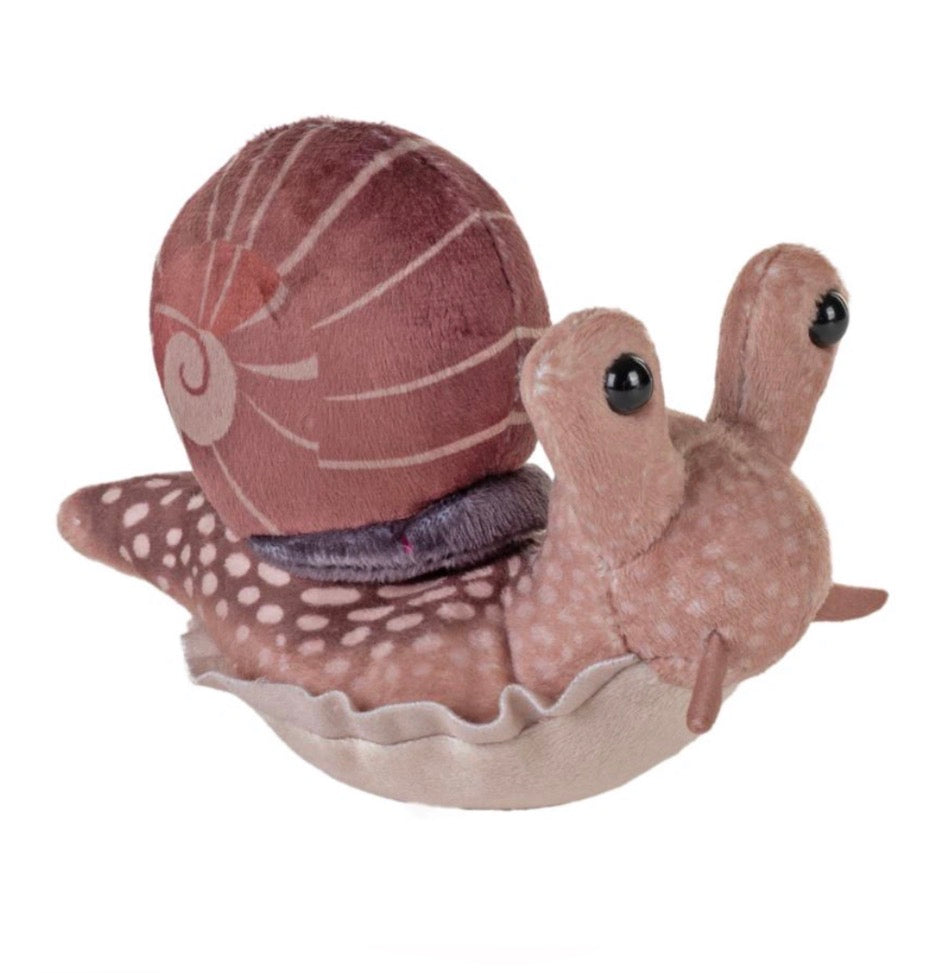 WILD POCKETKINS SNAIL