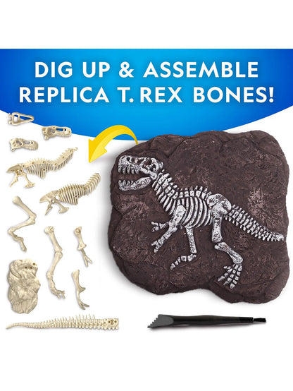 NG TYRANNOSAURUS REX DIG KIT