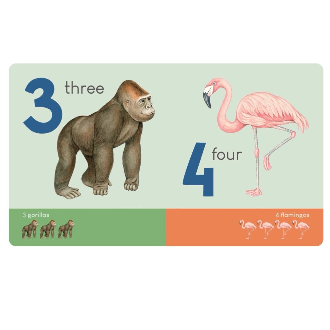 BOOK CARRY ME ANIMAL NUMBERS