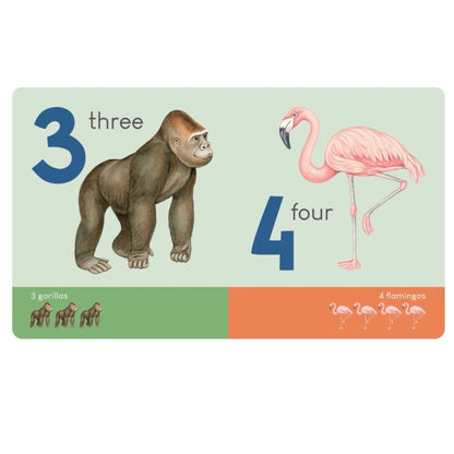 BOOK CARRY ME ANIMAL NUMBERS