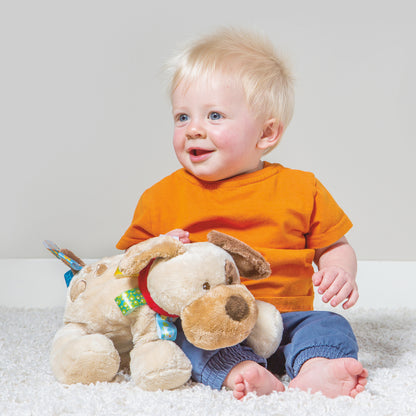 PLUSH MARY MEYER TAGGIES BUDDY DOG