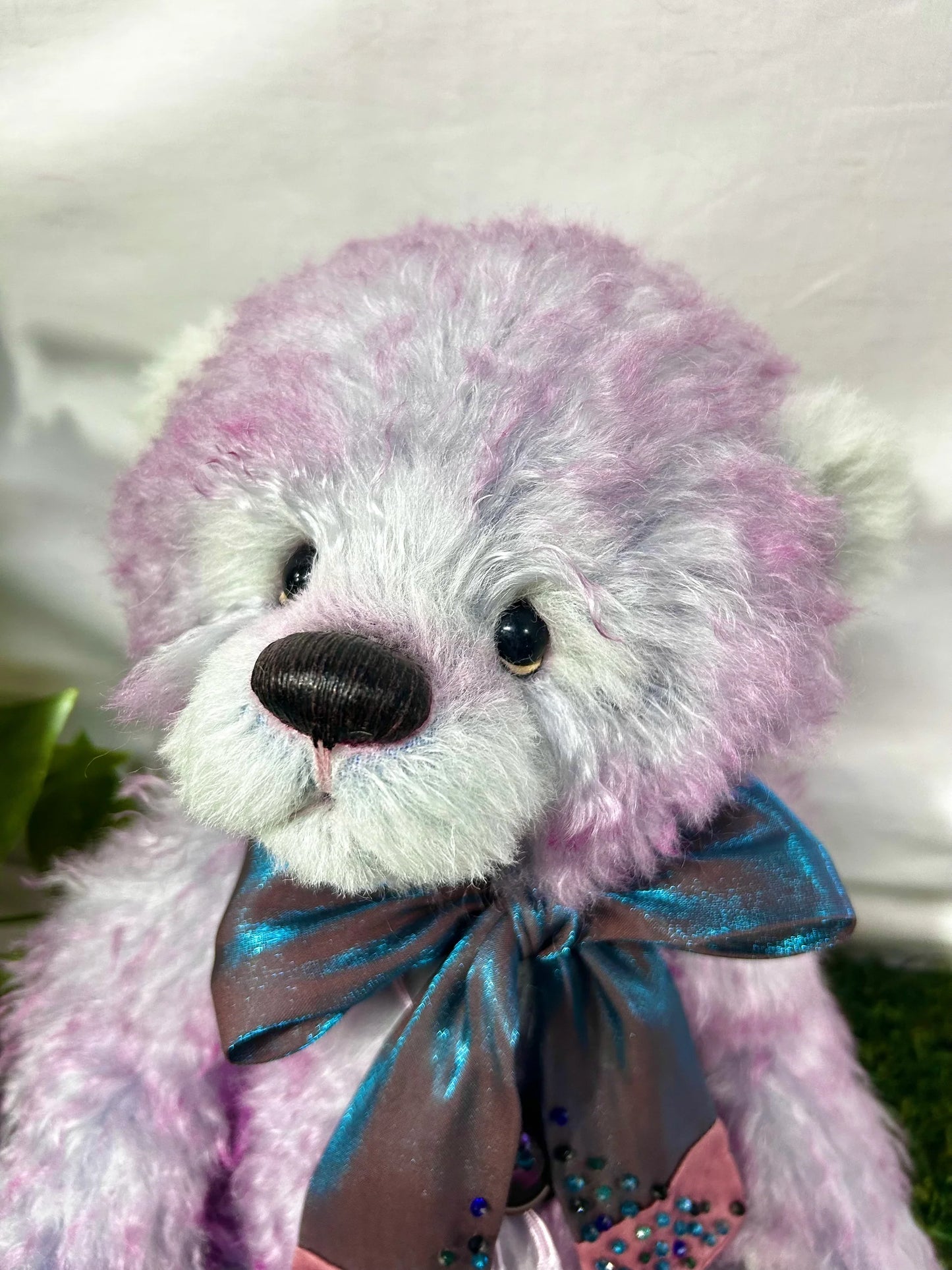 CB PAW STORE EXCLUSIVE ISABELLE JULIET