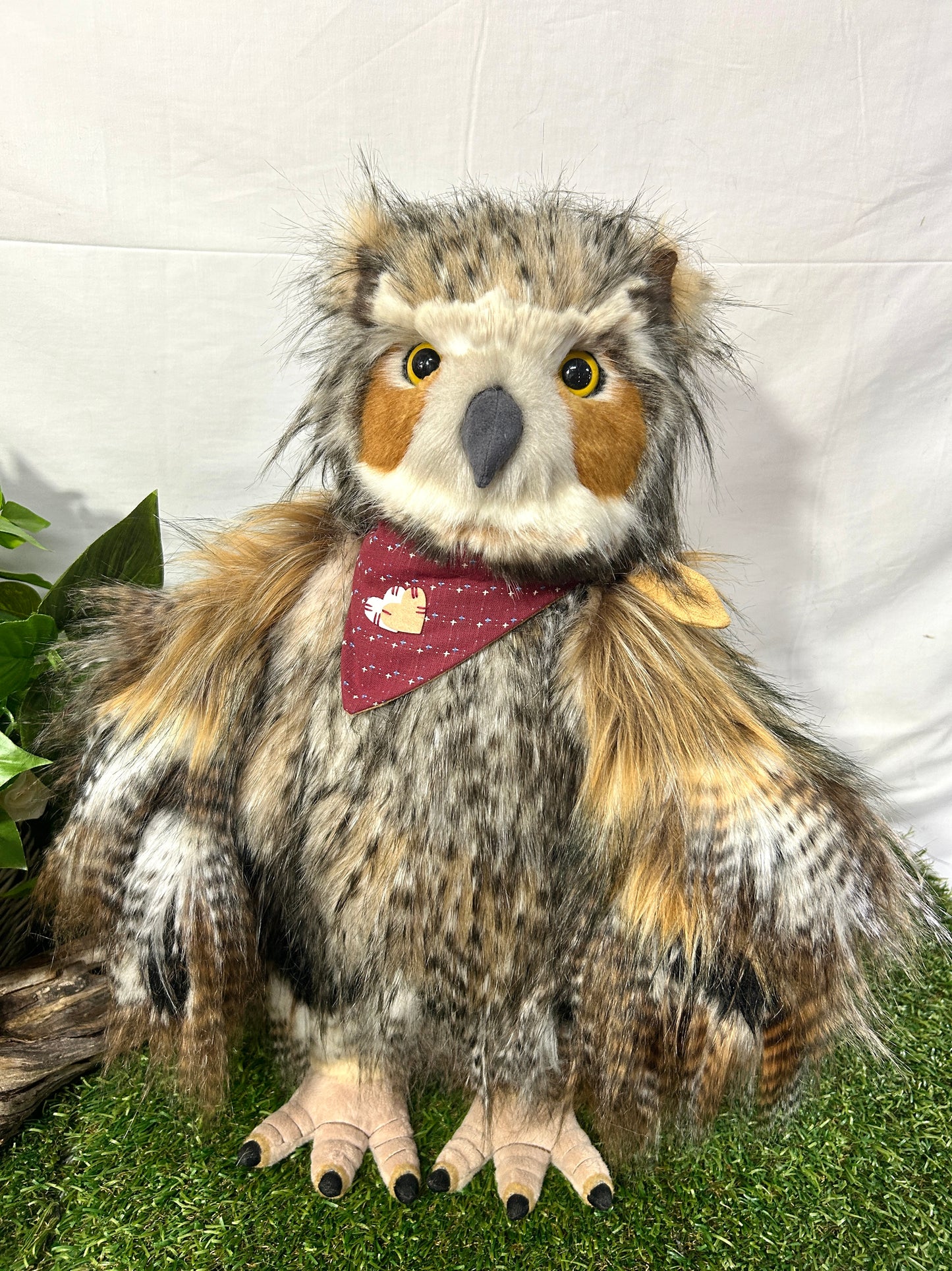 CHARLIE BEAR SCREECH