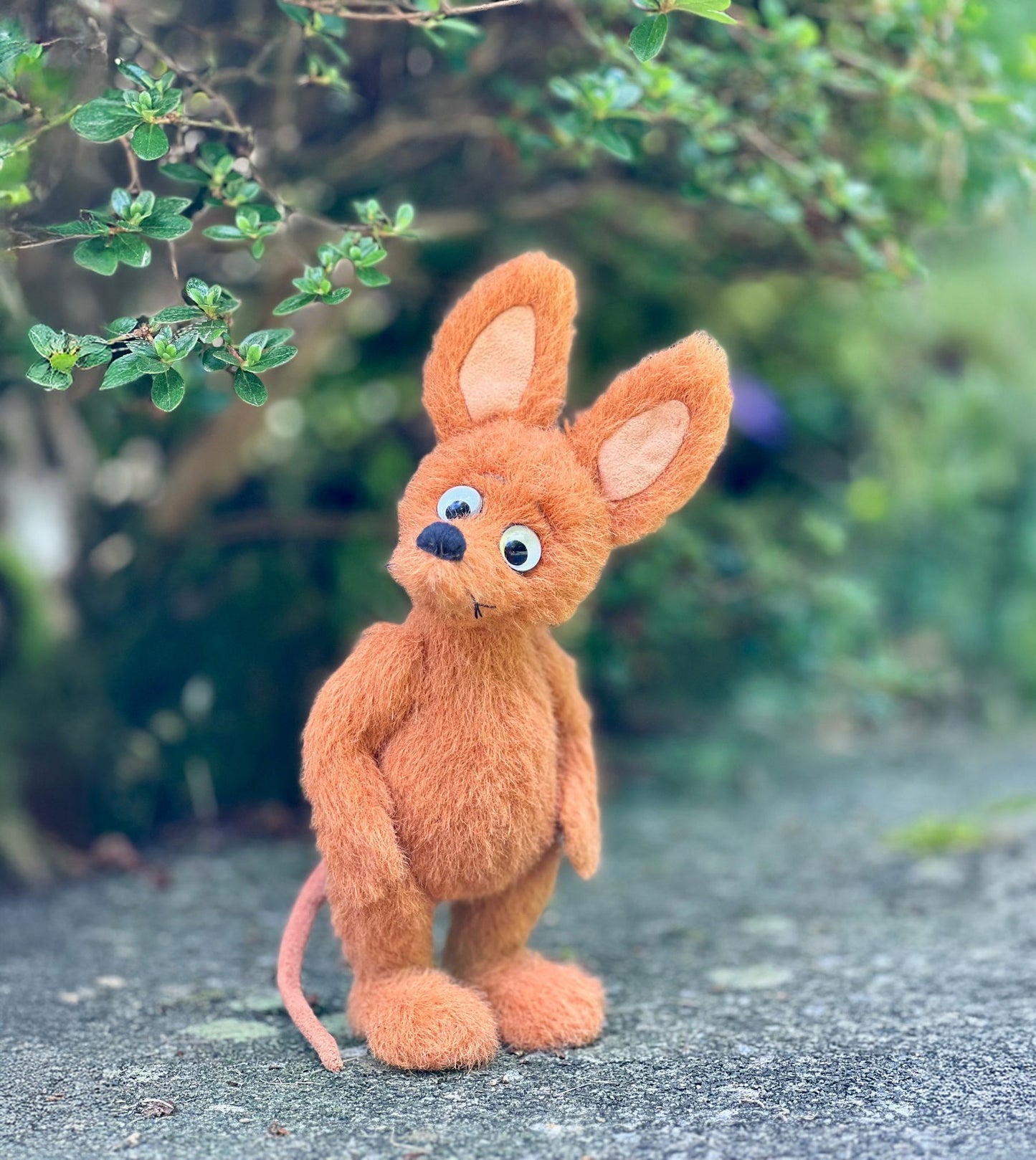 2026 MINIMO COLLECTION SNIFF