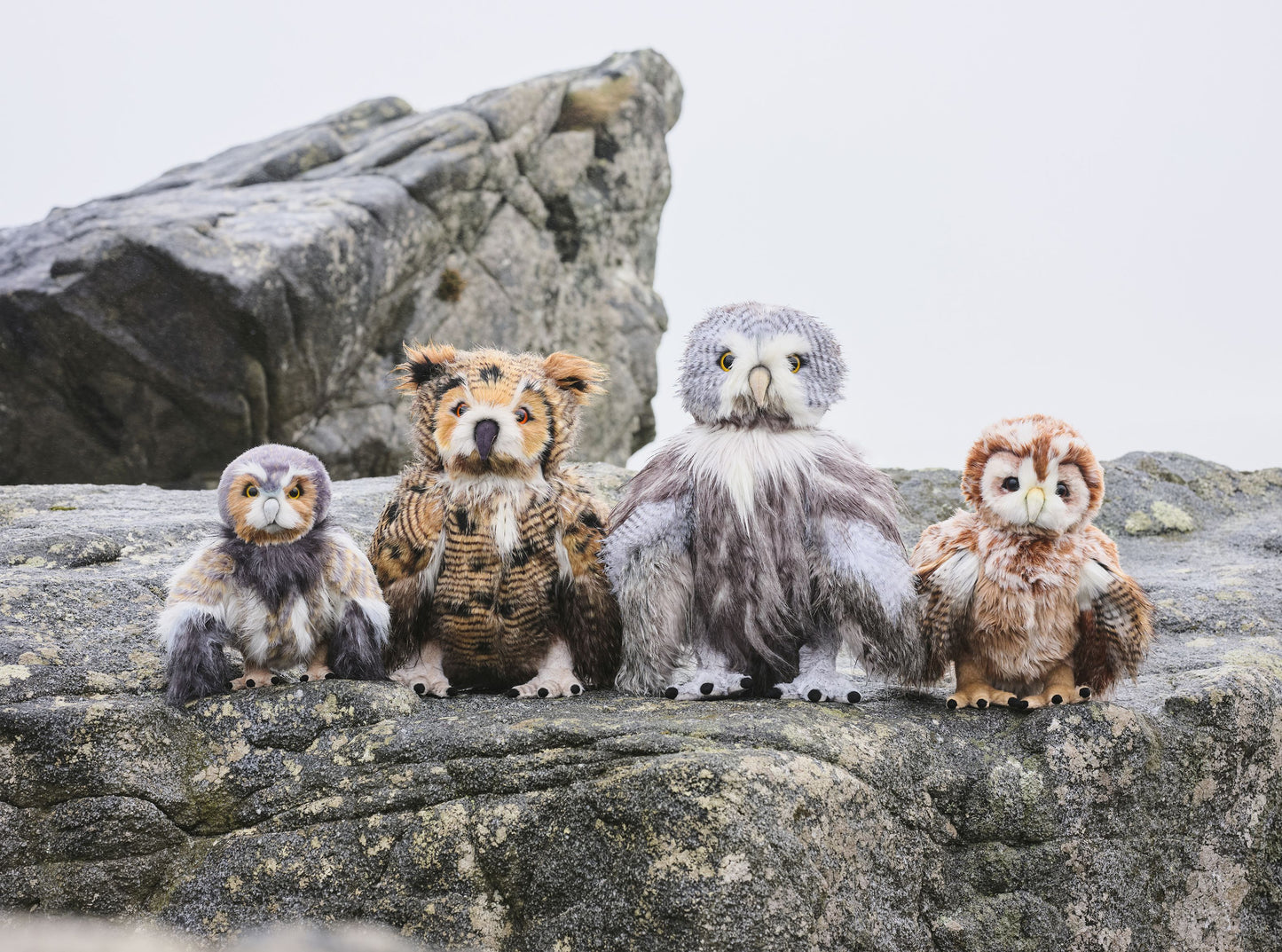 2026 CHARLIE BEAR FLIGHT LT FOUNTAIN