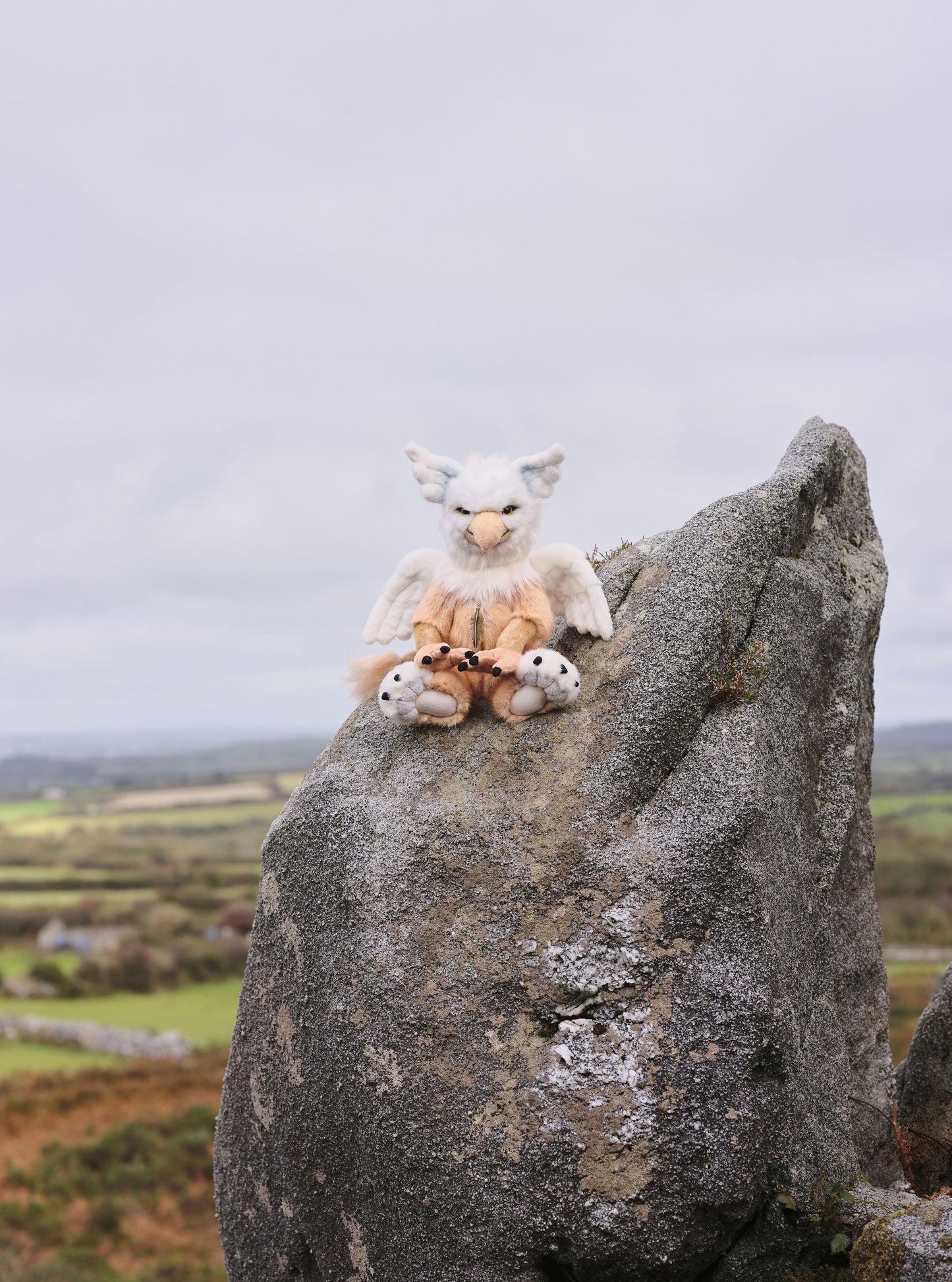 CHARLIE SIGNATURE BEAR GRIFFIN