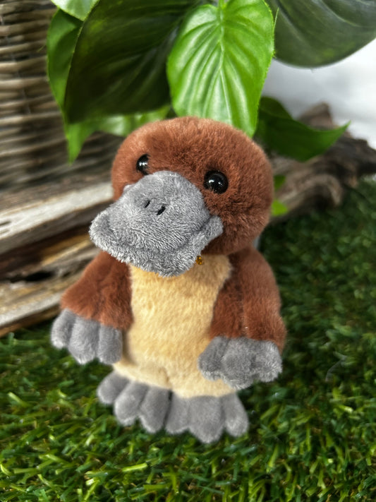 CUDDLE CUB BY CB DUCK BILLED PLATYPUS