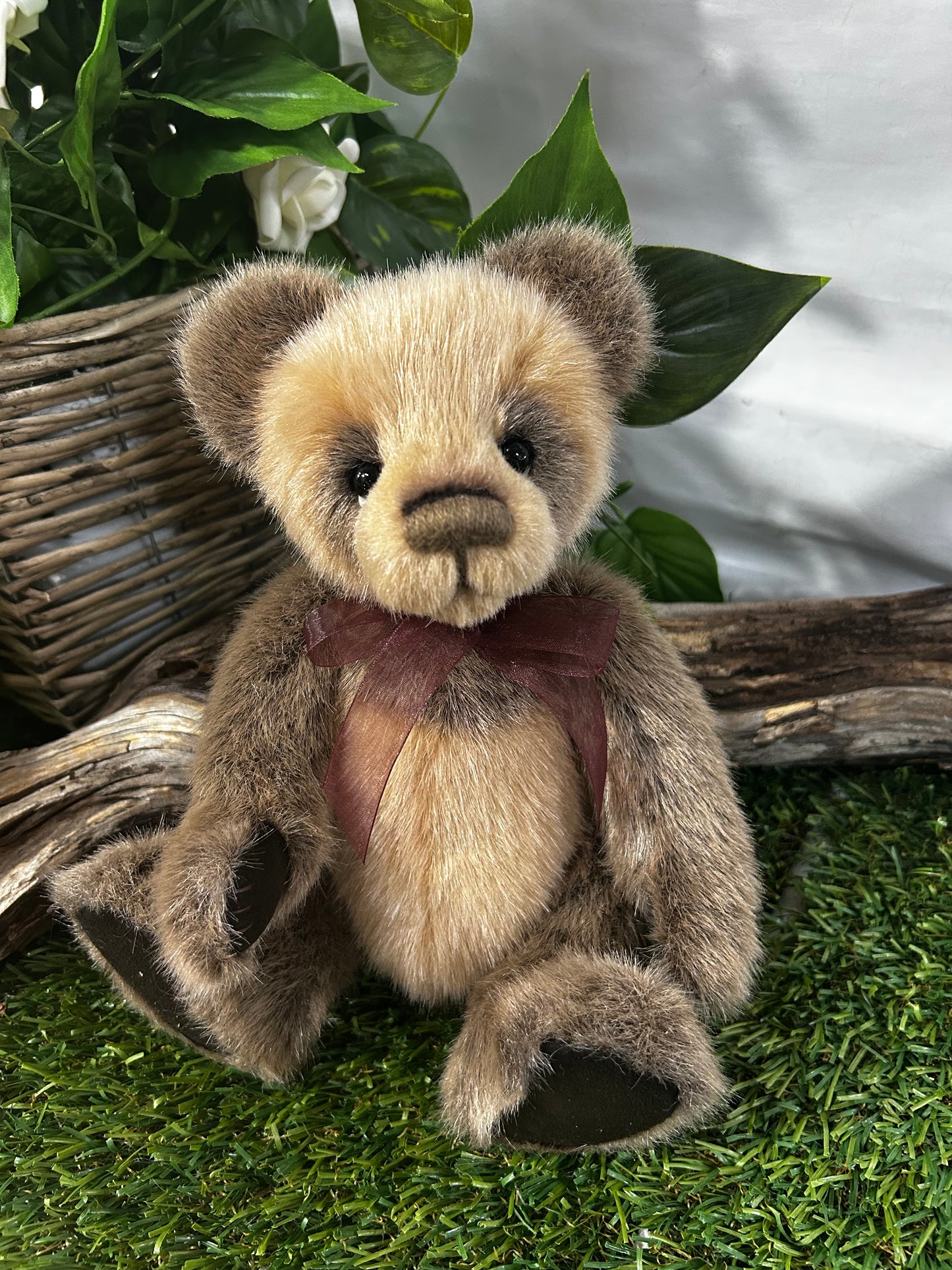 CHARLIE BEARS EXCL SORE PAWS