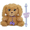 BABY PAWS INTERACTIVE LABRADOODLE