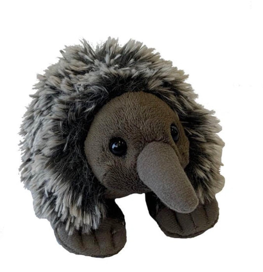 WILD POCKETKINS ECHIDNA