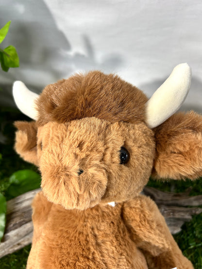CB BEAR & ME HENRY HIGHLAND COW MED