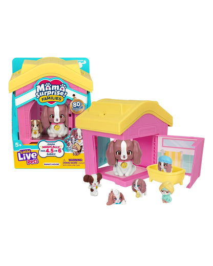 LLP MAMA SURPRISE S1 FAMILY HOUSE AST