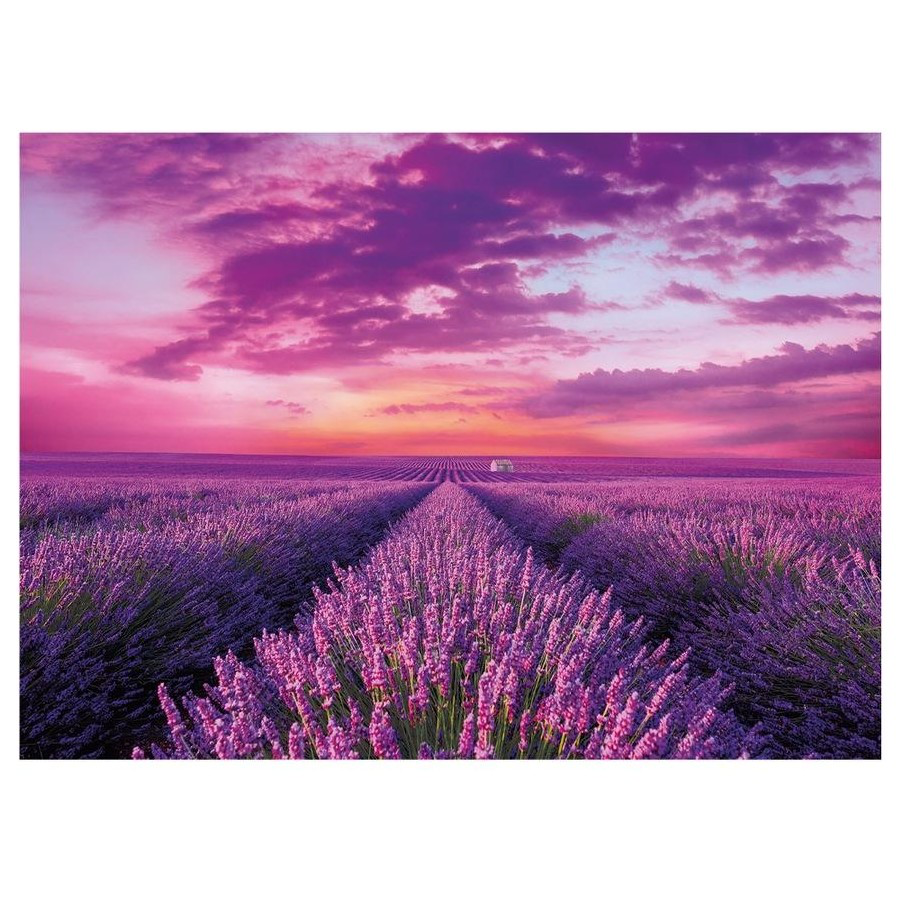 PUZZLE 1000PC LAVENDER FIELDS