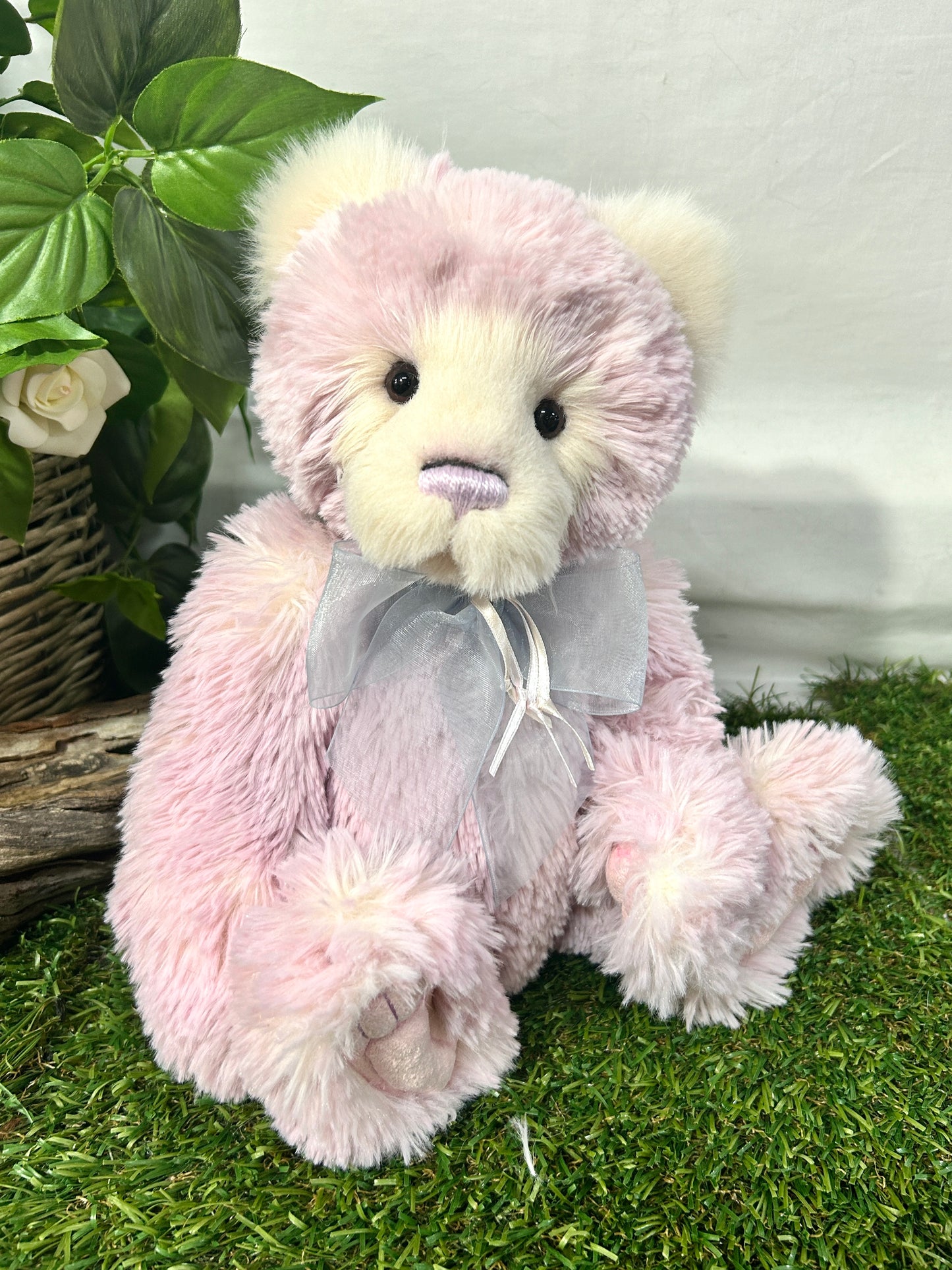 2026 CHARLIE BEAR MAISIE-BELLE