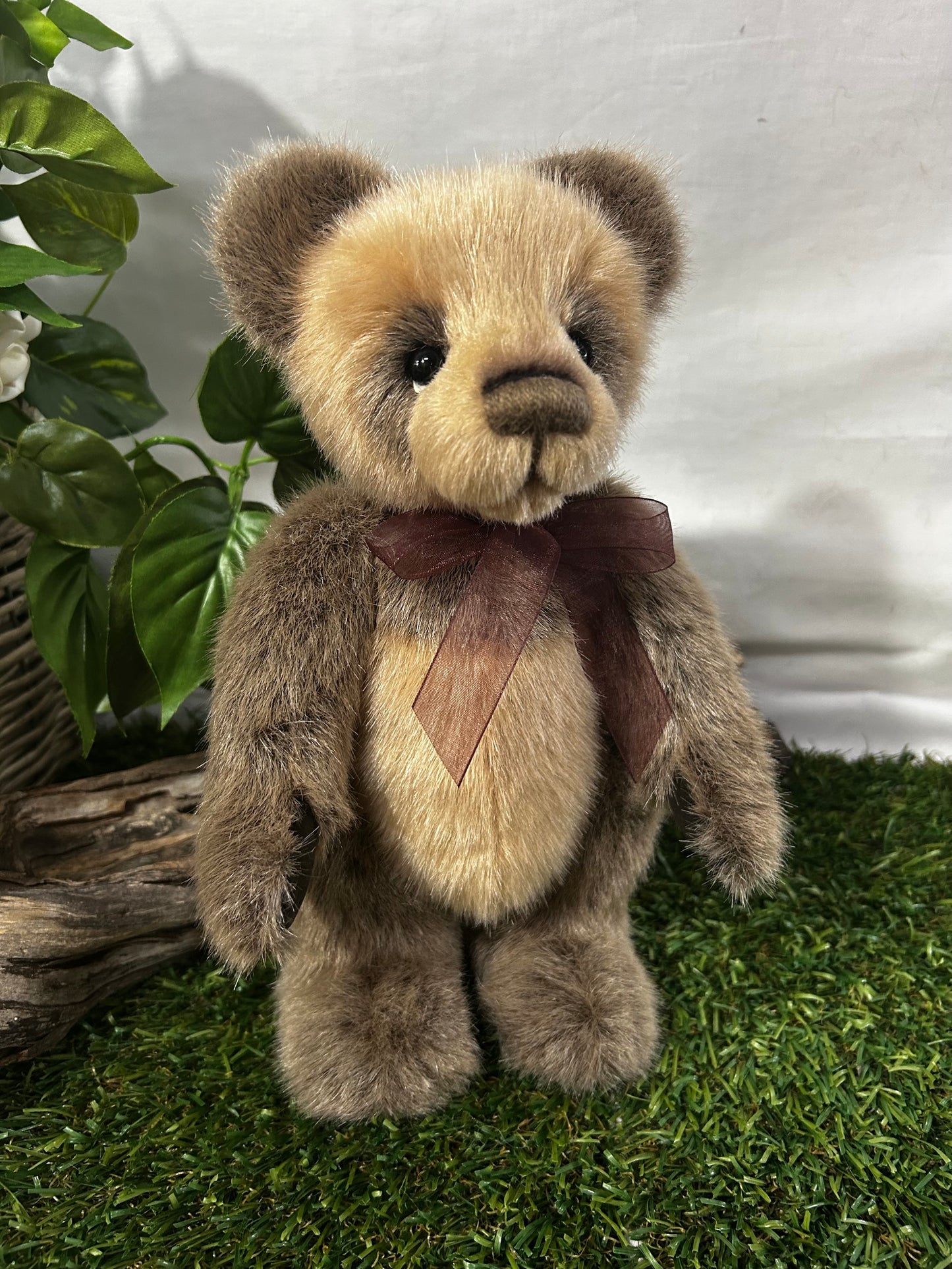 CHARLIE BEARS EXCL SORE PAWS
