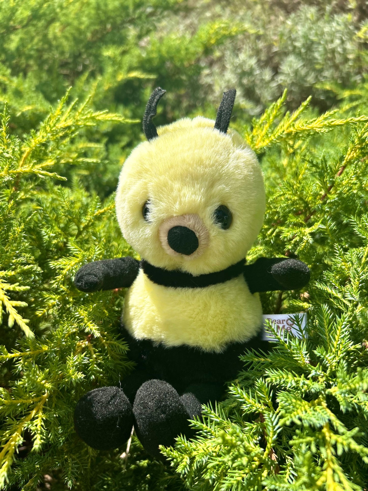CB BEAR & ME BUMBLE BEE BUTTERCUP YELLOW