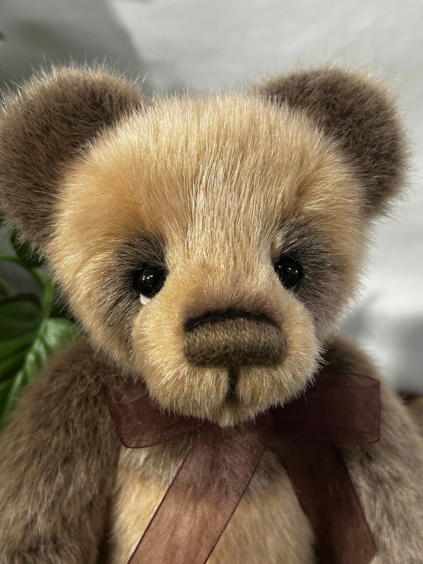 CHARLIE BEARS EXCL SORE PAWS