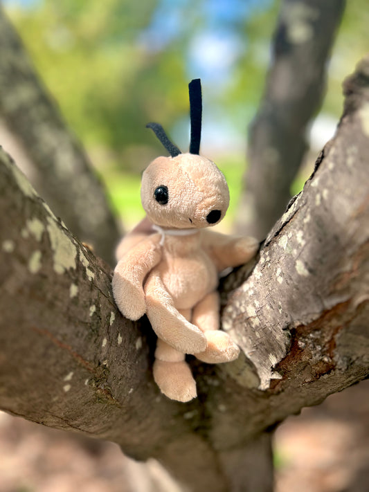 CB BEAR & ME TONY ANT COOKIE DOUGH BROWN