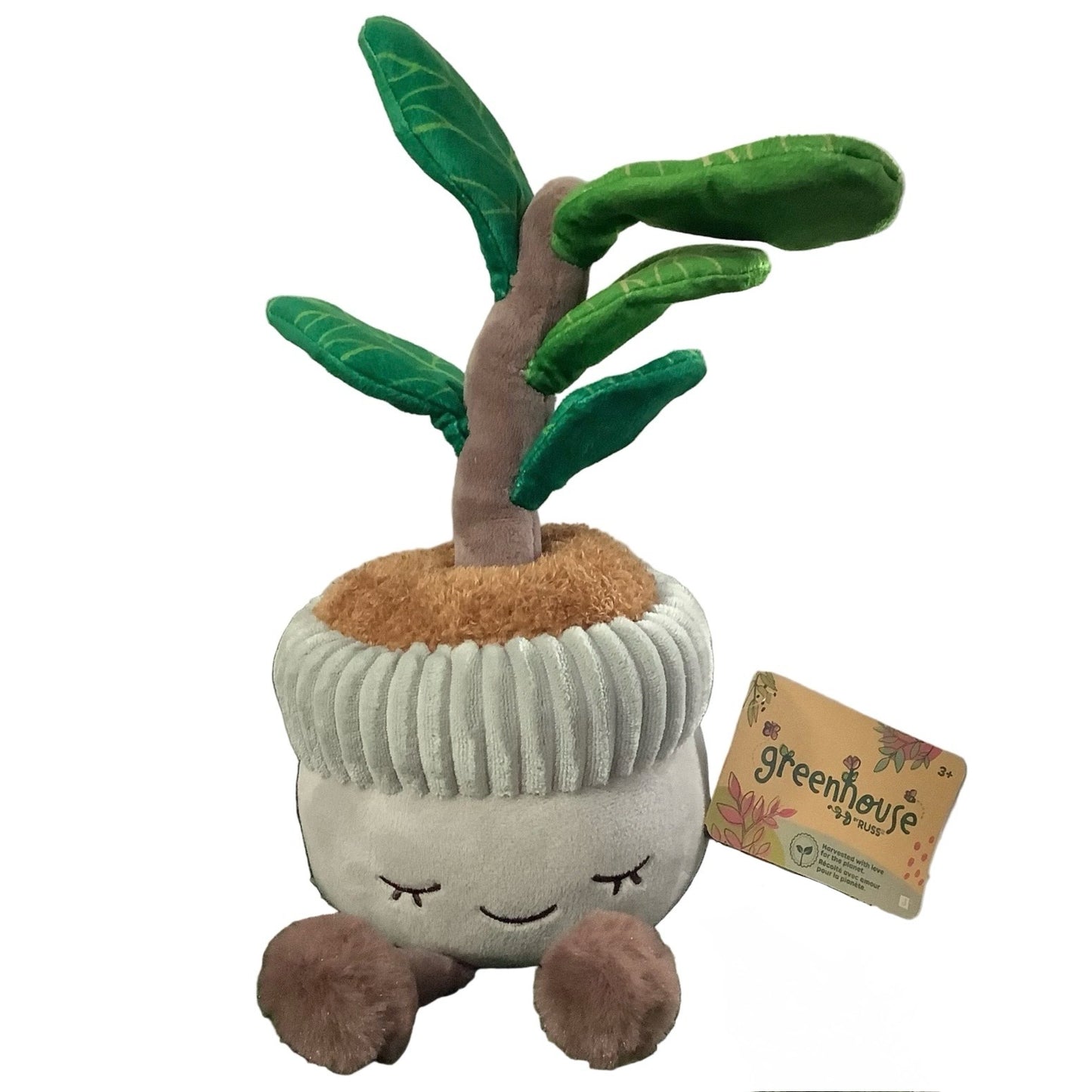PLUSH RBGH GREENHOUSE RUSS