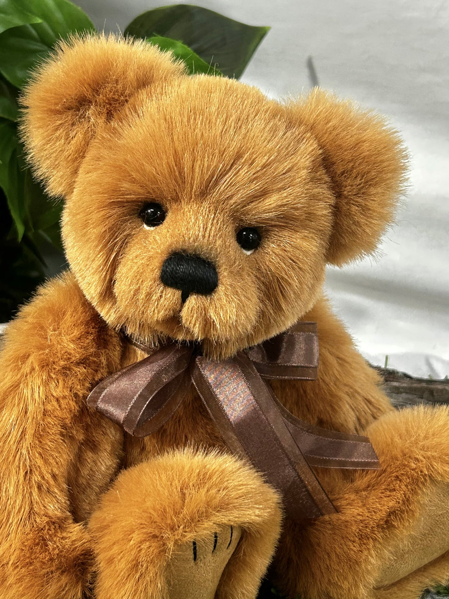 2025 CHARLIE BEARS EXCL ROBINSON