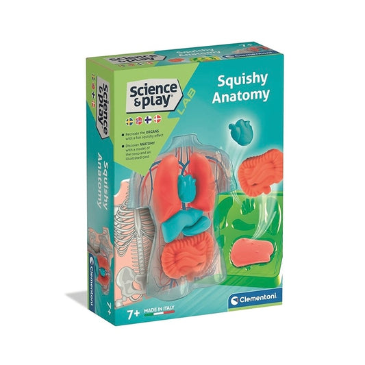 CLEMENTONI SCIENCE & PLAY SQUISHY ANATOM