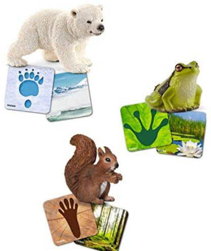 Schleich 42474 Wild Life Flash Cards