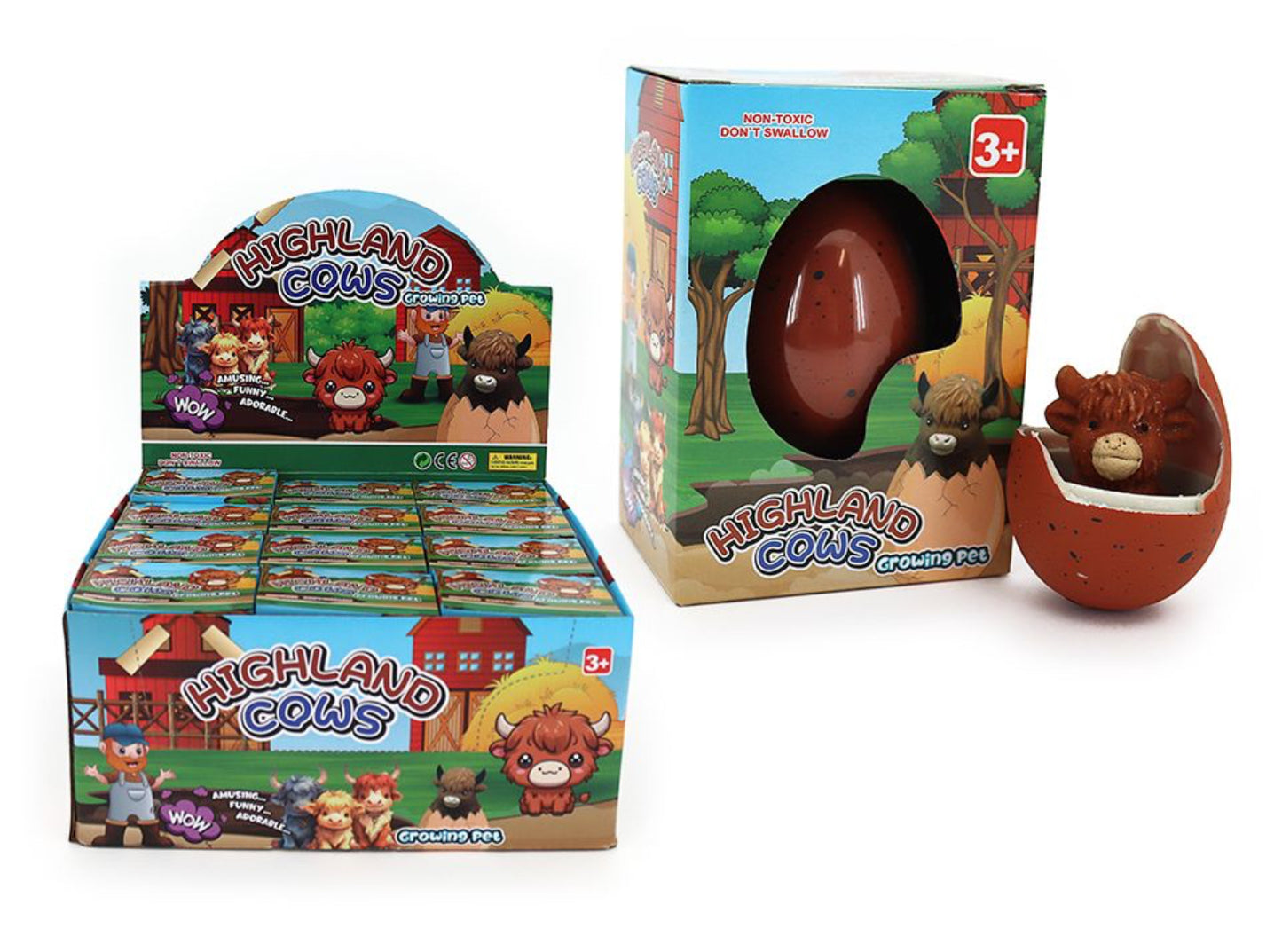 GROWING HIGHLAND COW IN EGG