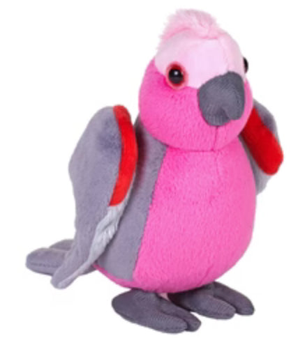 WILD POCKETKINS GALAH