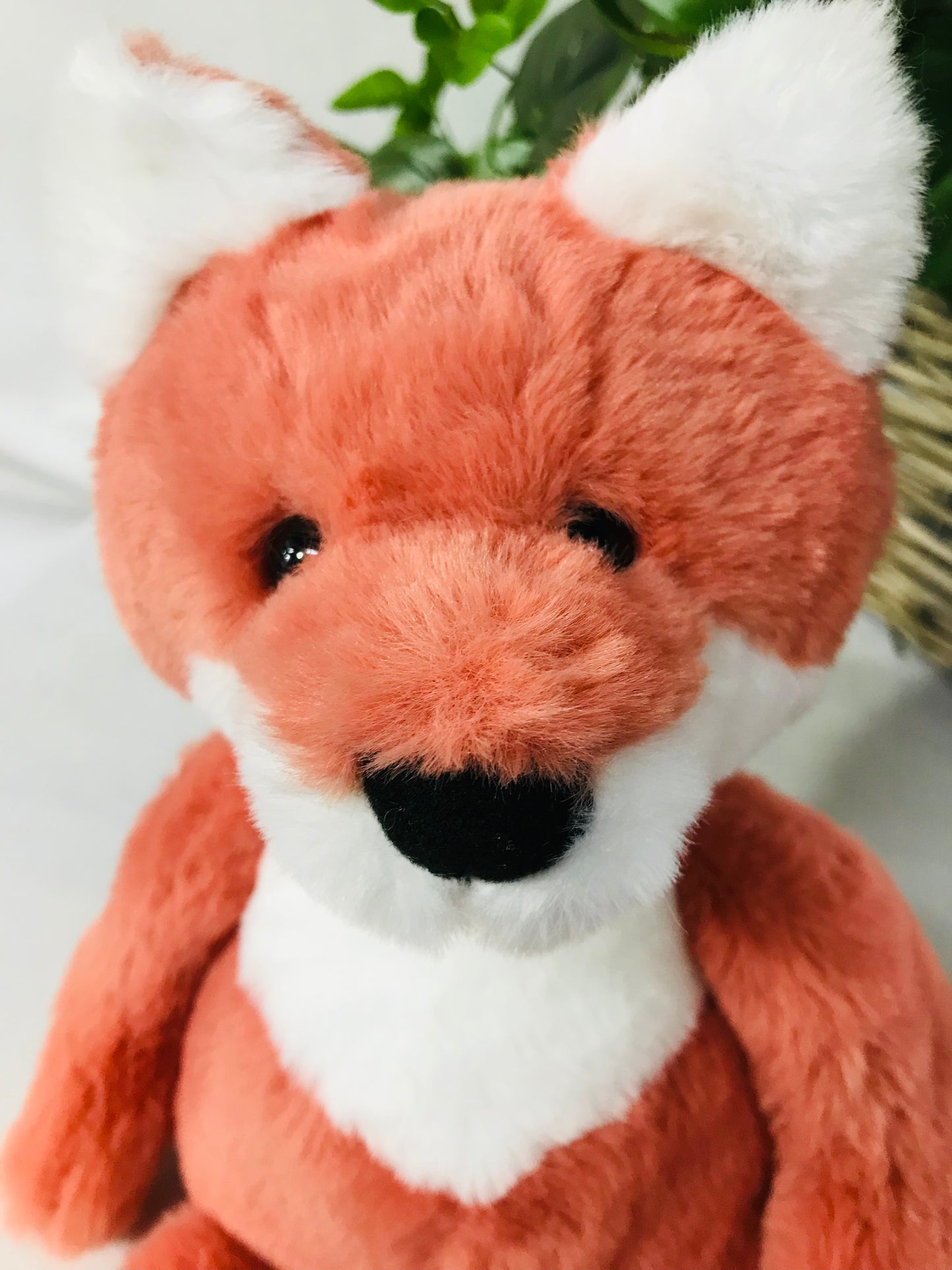 CB BEAR & ME FOLLY FOX MARMALADE ORANGE